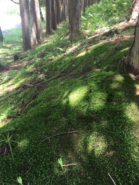新香山中２.JPG